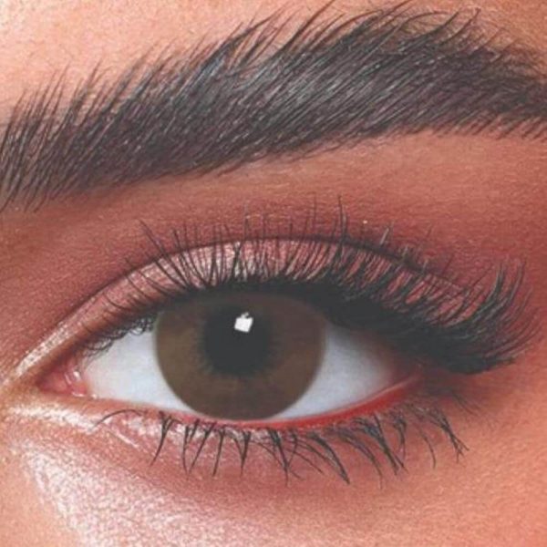 Bella Brown Shadow 04 Bella Brown Shadow